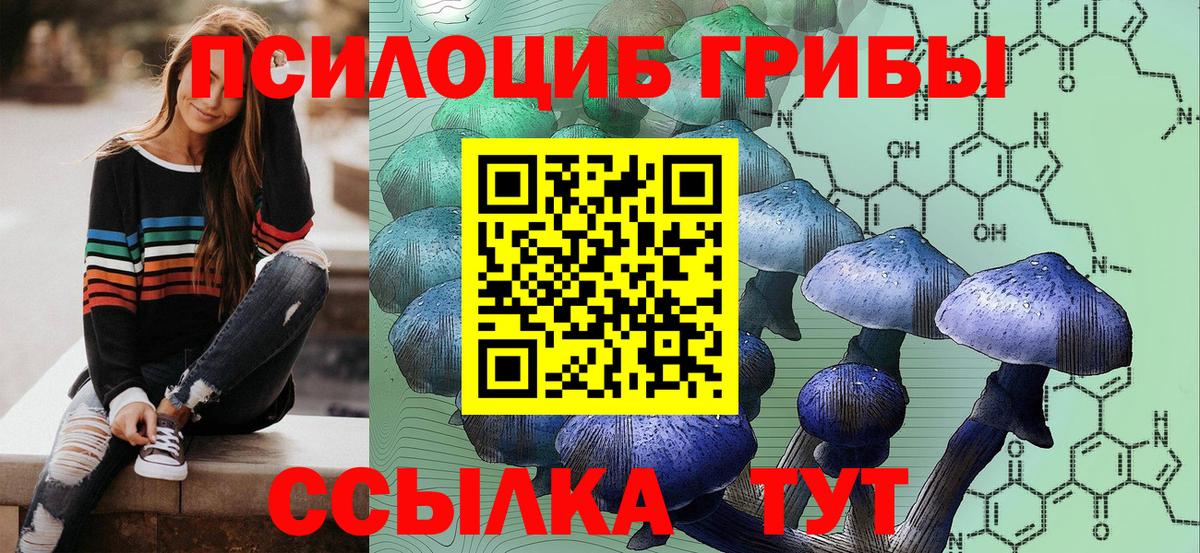 Волгоград  Псилоцибиновые грибы Cubensis  Вход с VPN 