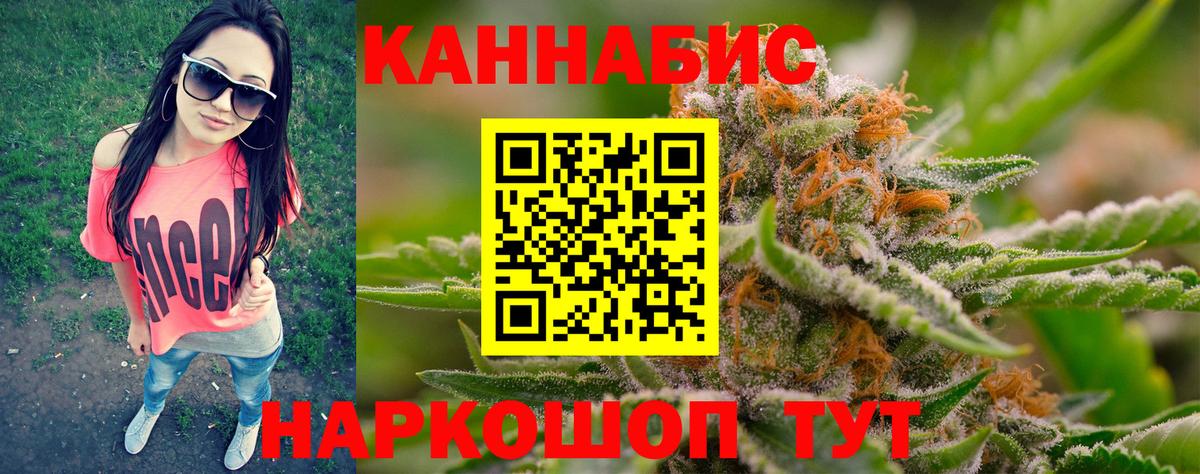 Конопля конопля Волгоград